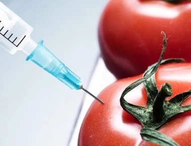 Οργανικά ή μεταλλαγμένα τρόφιμα – Μάθε να τα ξεχωρίζεις εύκολα